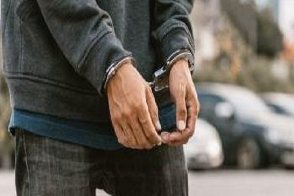 تفكيك شبكة الاحتيال بالشهادات المزورة في القليوبية