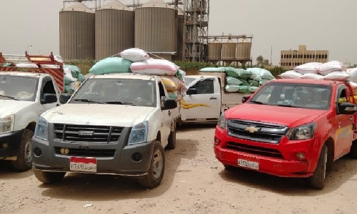  تزويد شون وصوامع البحيرة بـ 315 ألف طن من القمح