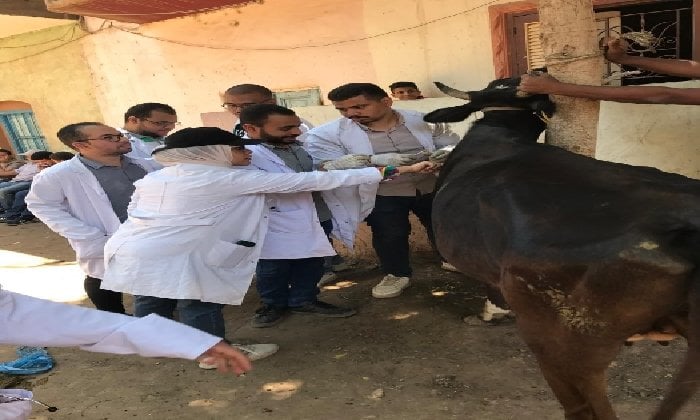 رفع مستوى المعيشة: قافلة بيطرية من جامعة سوهاج تساهم في قرية تونس