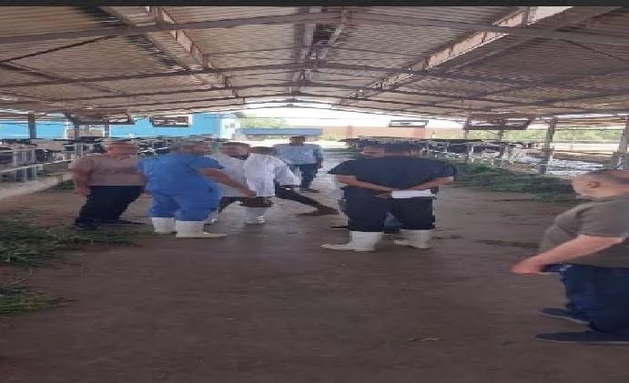 مراقبة بيطرية لتنفيذ حملات التحصين ورعاية محطات الألبان في المعنا